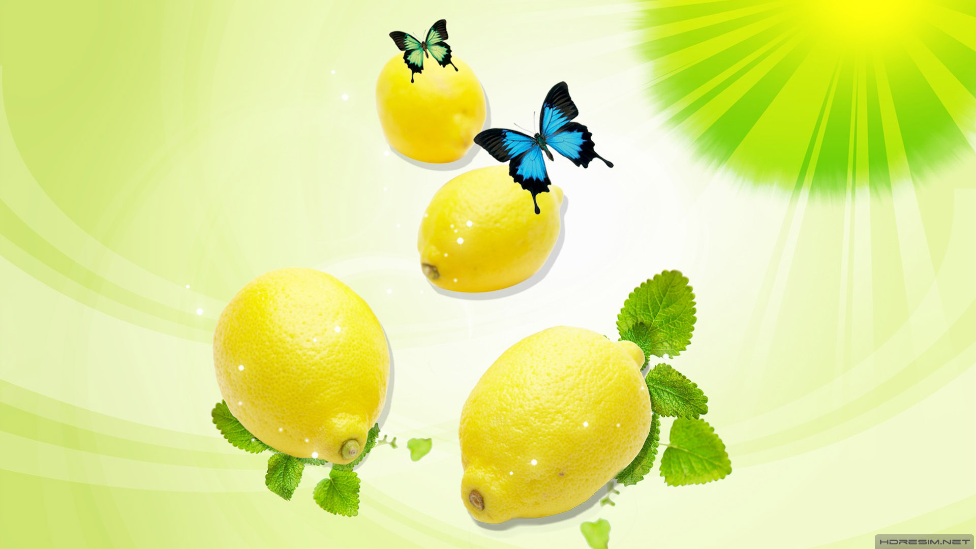 sebze,kelebek,limon