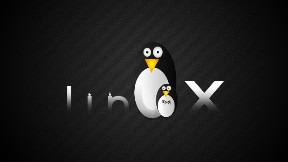 linux,logo,işletim sistemi