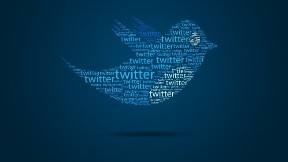 twitter,logo,sosyal ağ