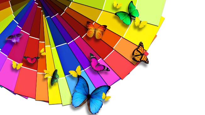 Renkli Kelebekler