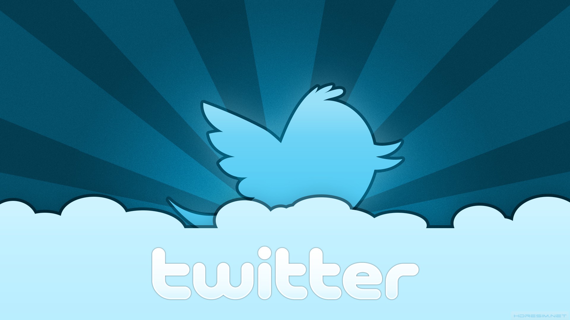 twitter,logo,simge,sosyal ağ