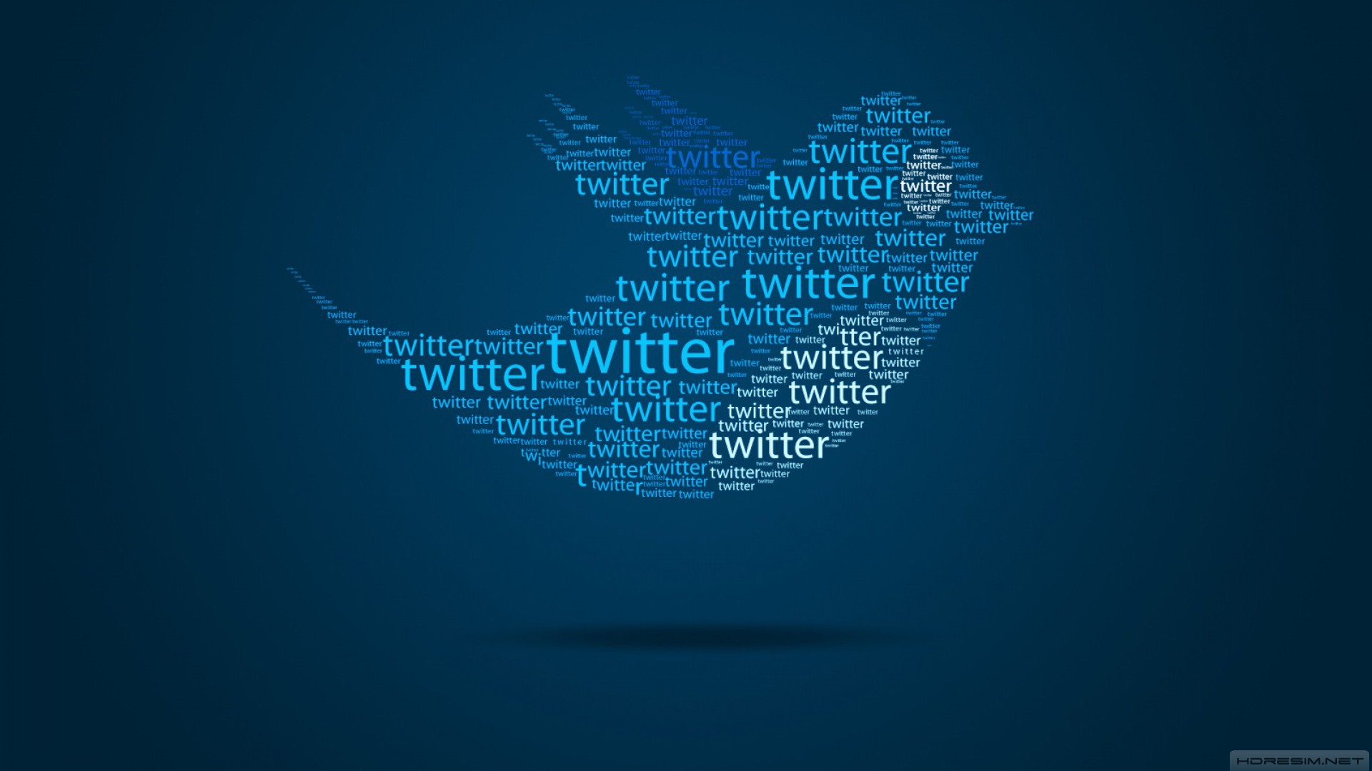 twitter,logo,sosyal ağ
