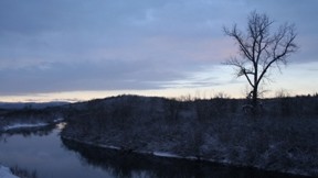 nehir,gece,ağaç,doğa,kış