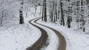 kar,yol,orman,kış
