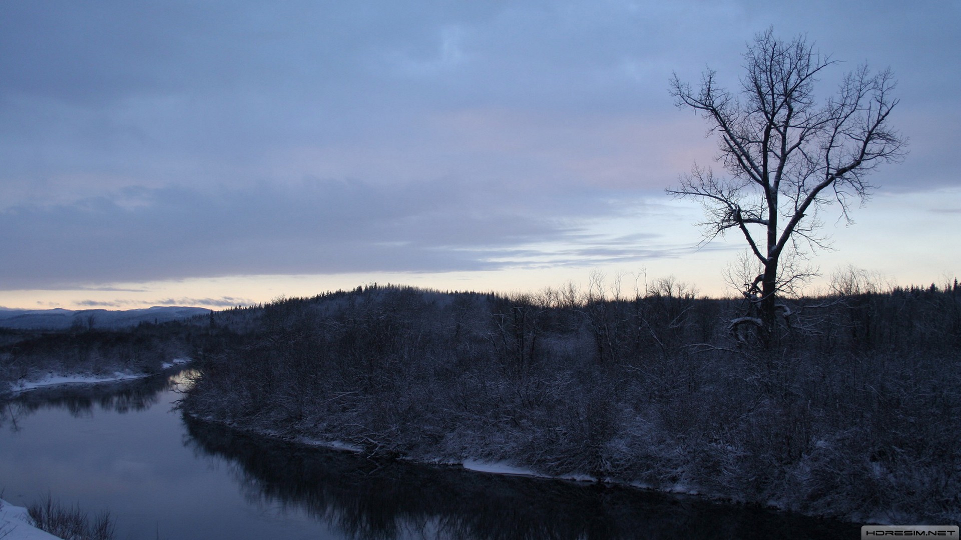 nehir,gece,ağaç,doğa,kış
