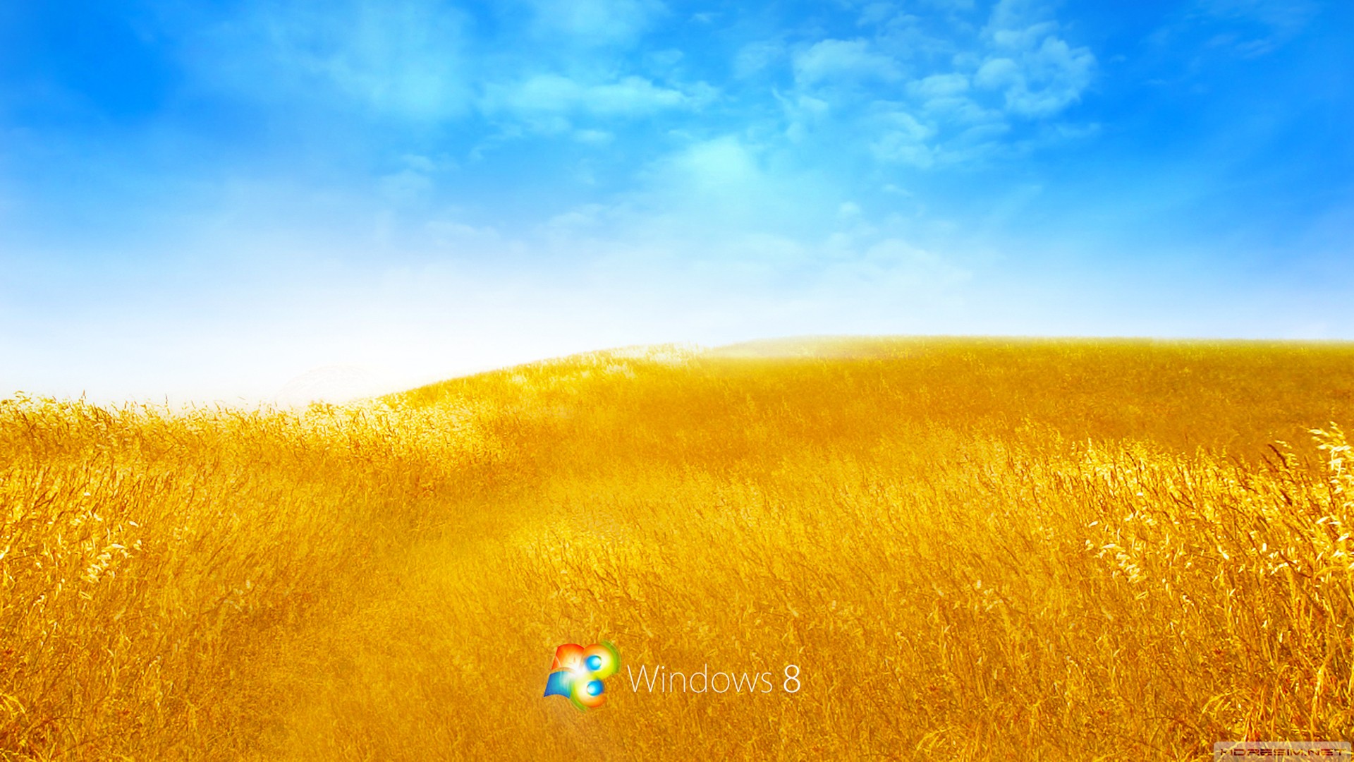 windows,işletim sistemi,windows 8
