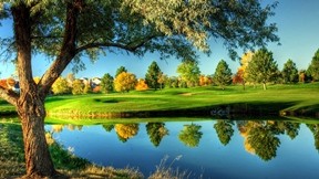 golf,saha,göl,ağaç