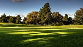 golf,saha,ağaç,güneş
