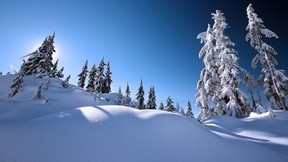 kış,manzara,kar,ağaç,güneş,gökyüzü