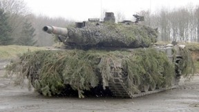 leopard,tank,askeri taşıt,orman,yol