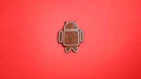 android,işletim sistemi,logo,ginger