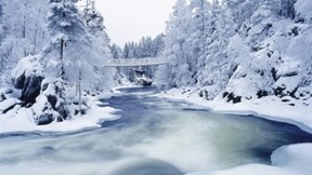 nehir,doğa,kar,kış,ağaç,köprü