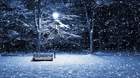 kış,kar,gece,ışık,ağaç