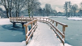 kar,kış,nehir,köprü,buz,ağaç
