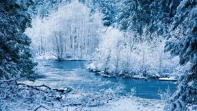 kış,kar,doğa,ağaç,manzara,nehir,orman