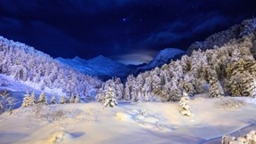 kış,kar,ağaç,gökyüzü,gece,orman,dağ