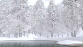 kış,nehir,ağaç,orman,kar