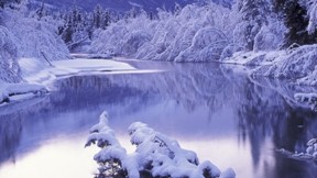 kış,kar,ağaç,nehir