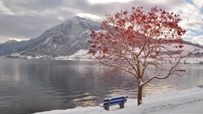göl,kış,ağaç,dağ