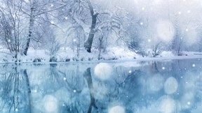 kış,göl,kar,ağaç