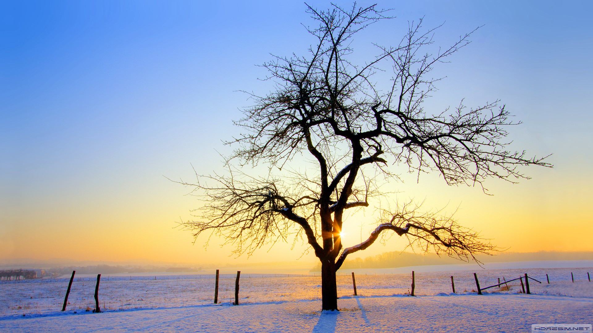 günbatımı,kış,kar,ağaç