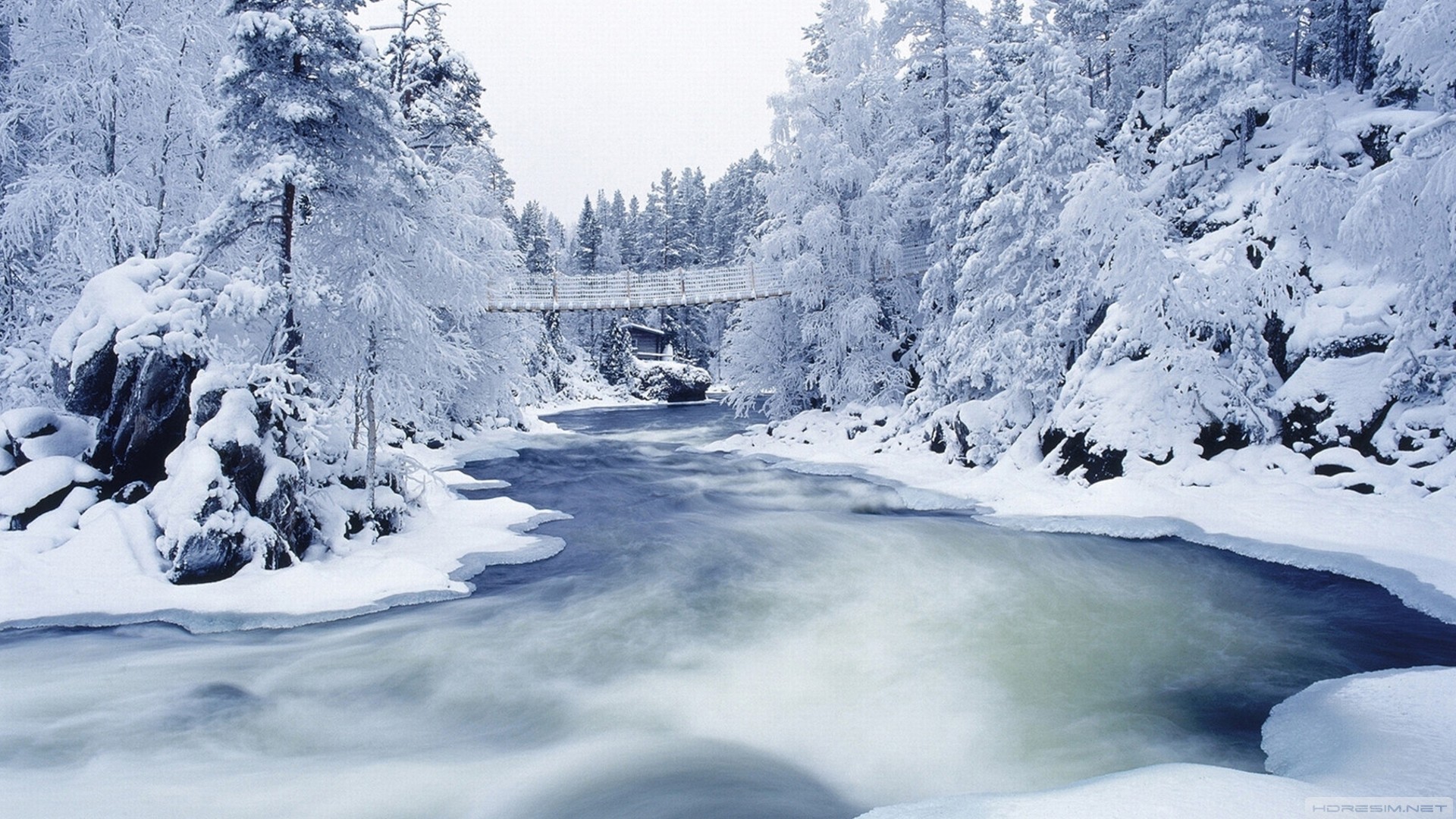 nehir,doğa,kar,kış,ağaç,köprü