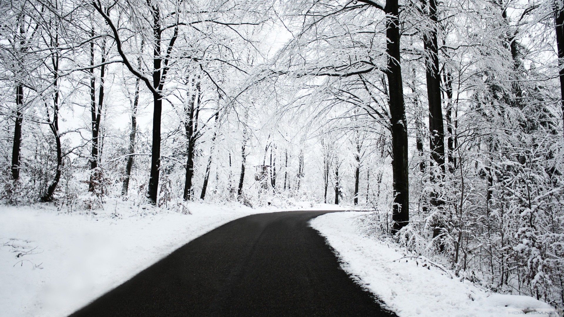 yol,kış,ağaç,kar