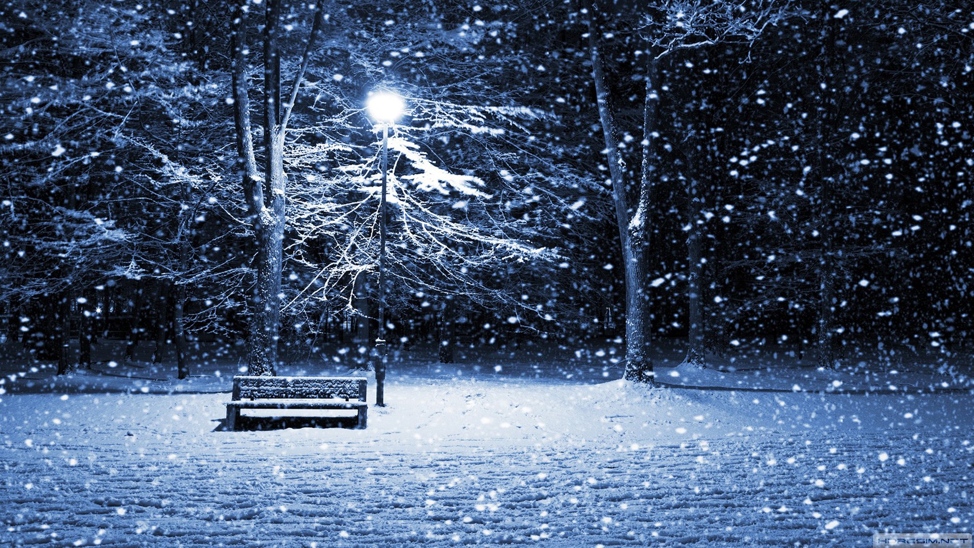 kış,kar,gece,ışık,ağaç