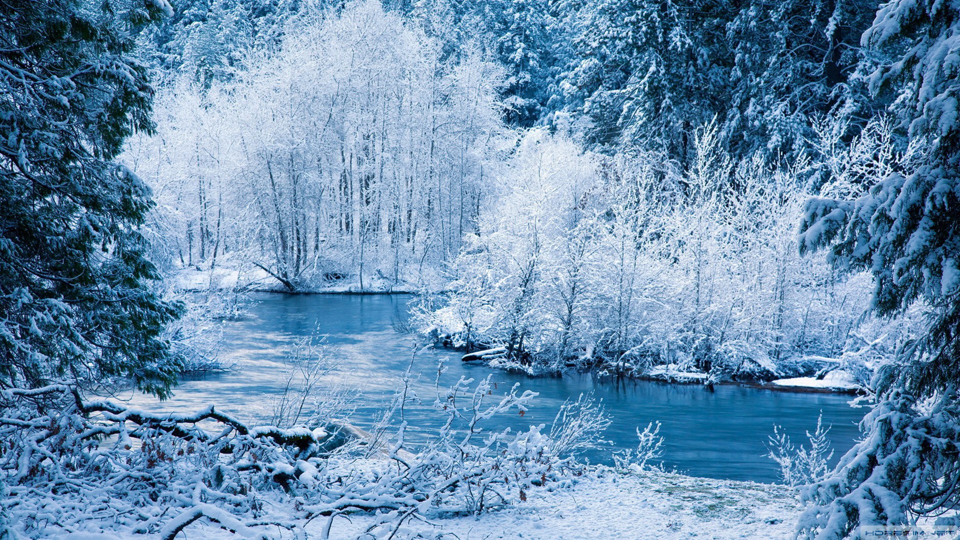 kış,kar,doğa,ağaç,manzara,nehir,orman