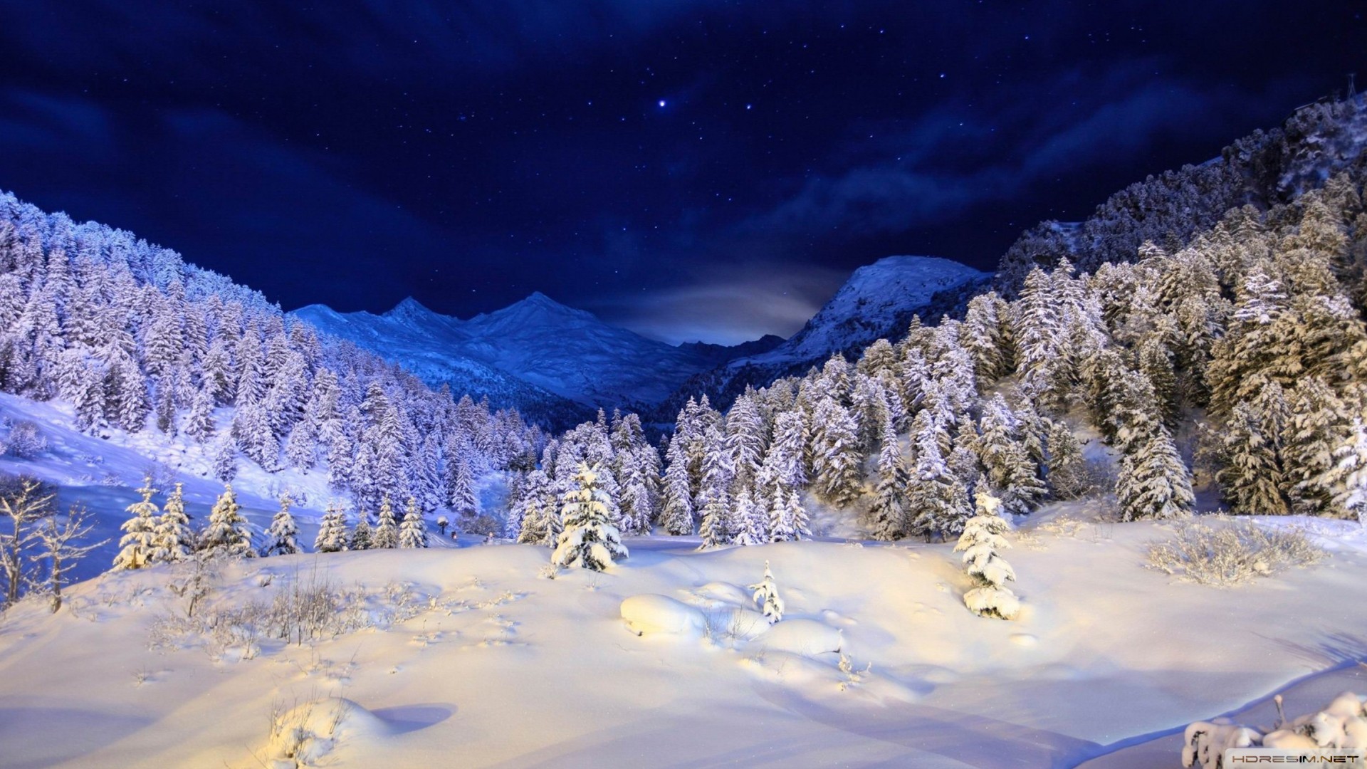 kış,kar,ağaç,gökyüzü,gece,orman,dağ