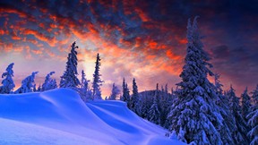 kış,kar,orman,günbatımı,dağ