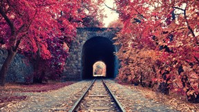 sonbahar,ağaç,tren,tünel,ray,doğa