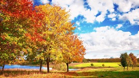 sonbahar,ağaç,manzara,gökyüzü,göl