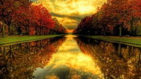 sonbahar,ağaç,yansıma,nehir