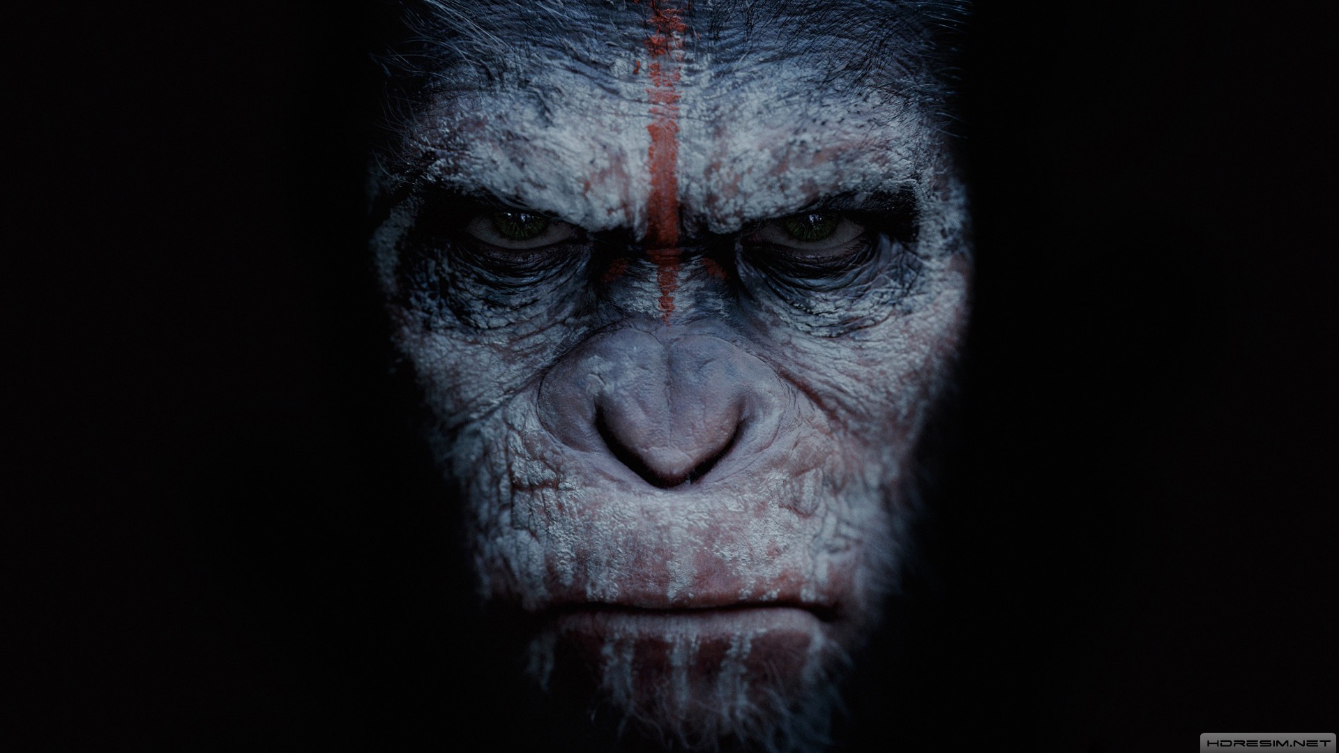 maymunlar cehennemi,şafak vakti,film,2014