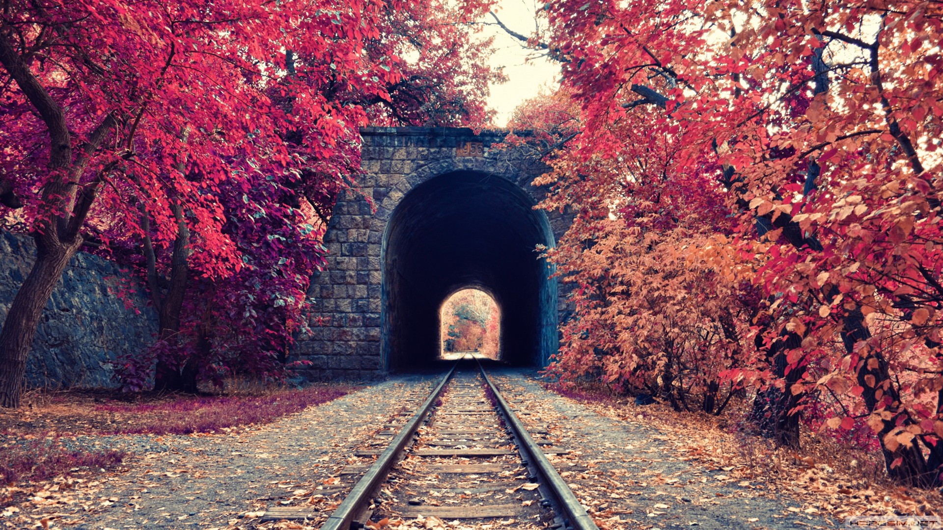 sonbahar,ağaç,tren,tünel,ray,doğa