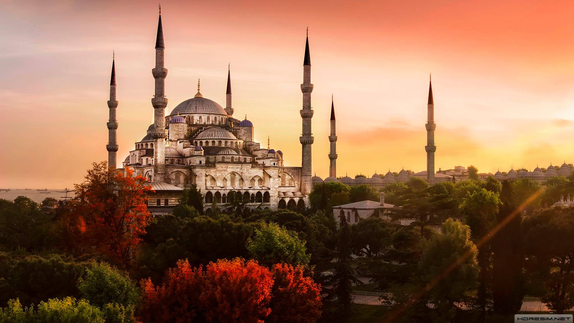 sultan ahmet cami,cami,istanbul,ağaç,günbatımı,sonbahar