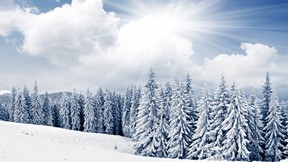 kış,kar,ağaç,gökyüzü