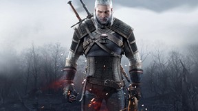 the witcher,wild hunt,tps,oyun