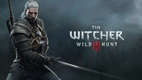 the witcher,wild hunt,tps