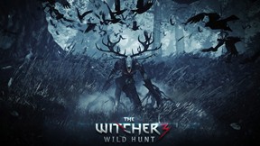 the witcher,wild hunt,tps