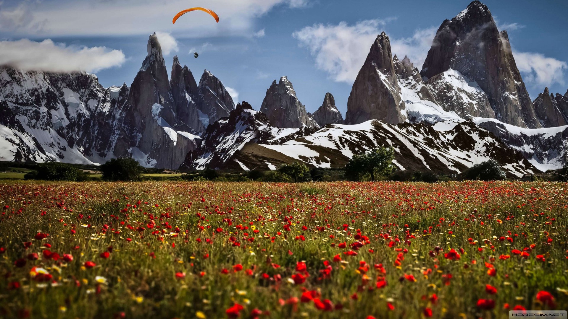 dağ,doğa,çiçek,paraşüt