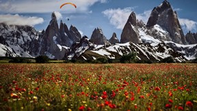 dağ,doğa,çiçek,paraşüt