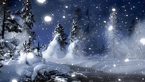 kış,kar,ağaç,gece