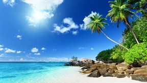 yaz,ada,tropikal,ağaç,deniz,kumsal,güneş