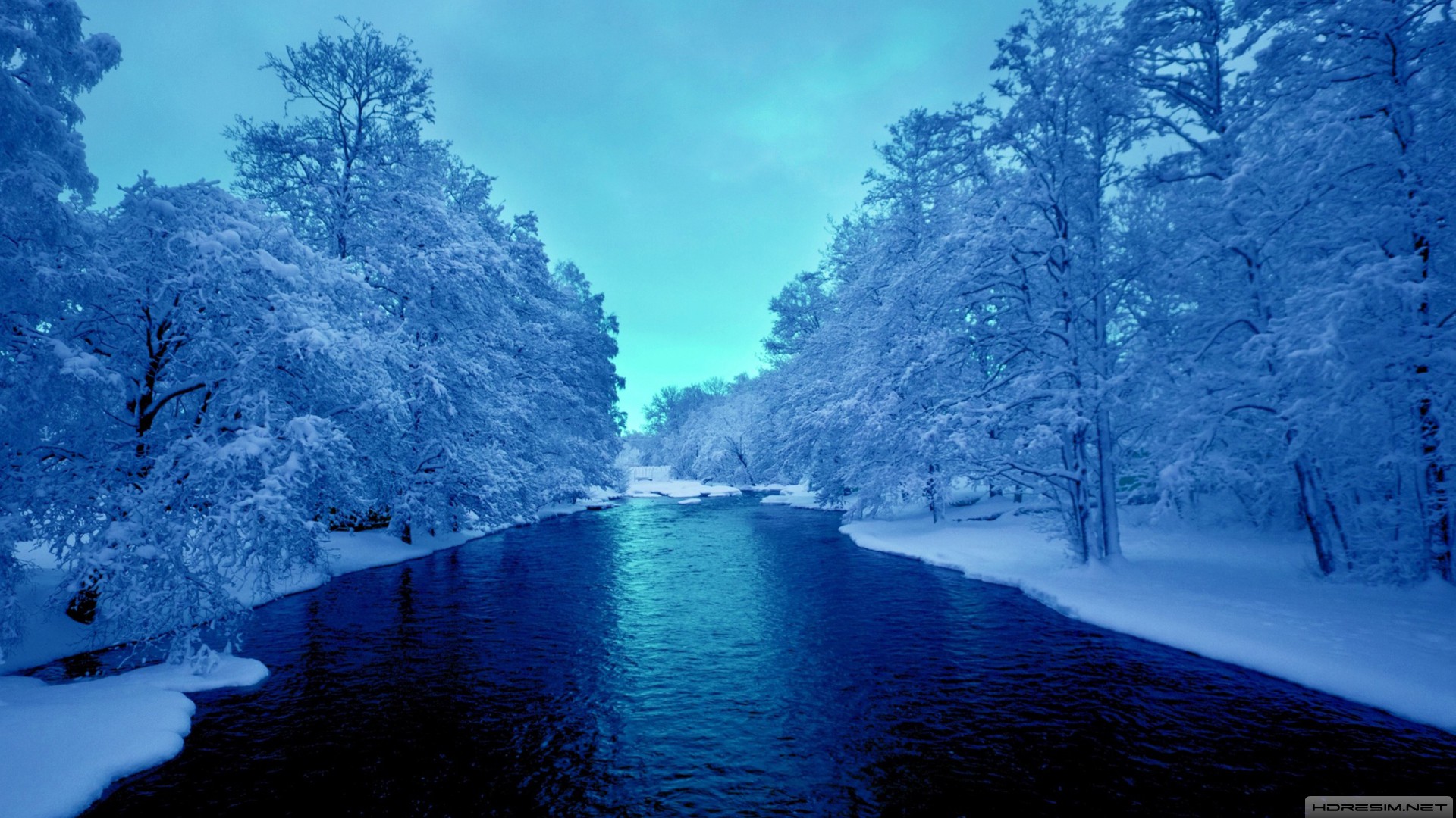 kış,orman,kar,nehir,ağaç