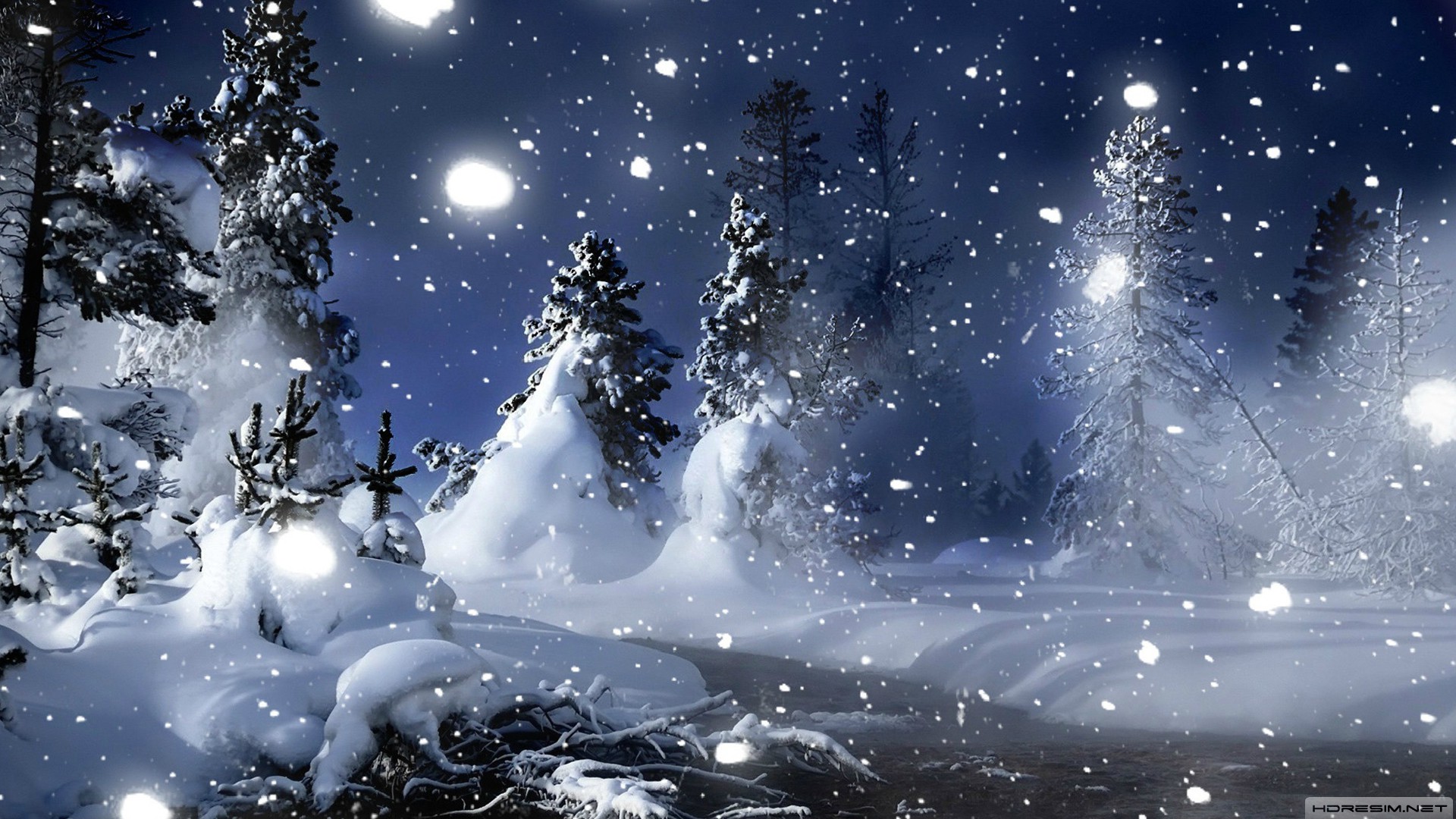 kış,kar,ağaç,gece