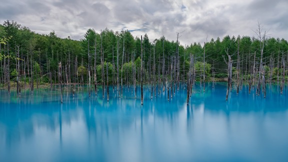 Mavi Göl ve Orman