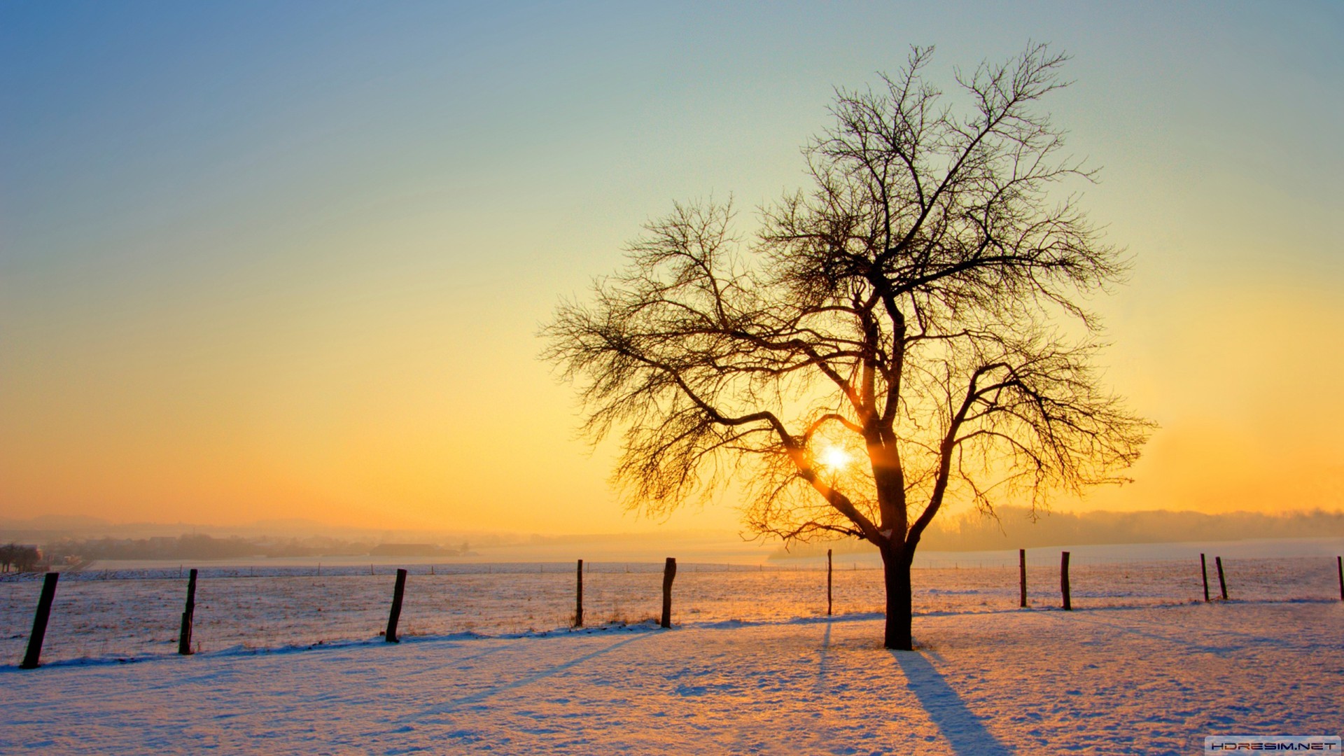 kış,kar,günbatımı,ağaç
